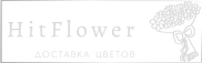 Доставка цветов Новинки